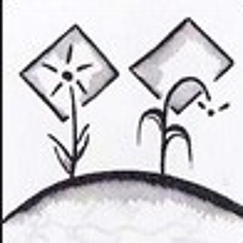 Karevane Omr - Ustad Babak Radmanesh