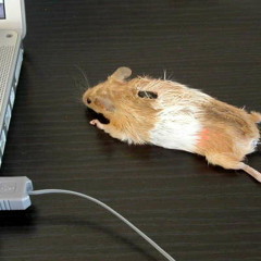 London Water - Mixing by Mouse