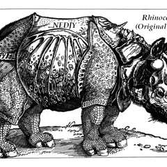 Rhinocervs (Original Mix)
