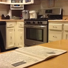 Pirates of The Caribbean by ear  at Home