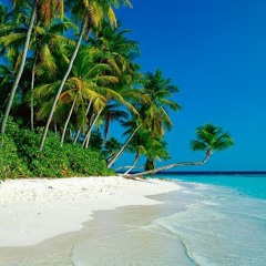 Harry Angel x Phil Collins - "Another Day In Paradise"