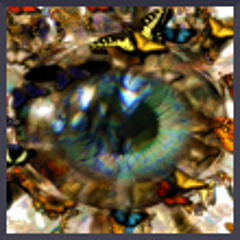 The Divine Seer - feat Melodic Euphoria