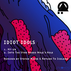 Idiot Idols - H7-25 - Evoked Recordings