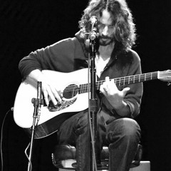 Chris Cornell - A Day In The Life (2011-11-18)