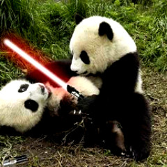 Battle of the Pandas
