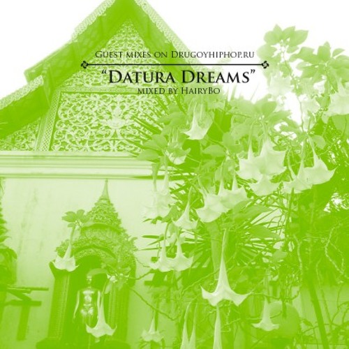 Dreams guest. Dreams guest