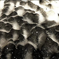 Live - LMALC, Bruxelles