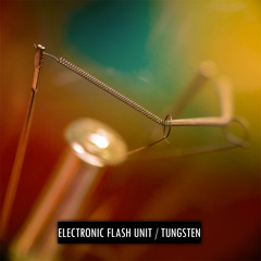 Electronic Flash Unit - Tungsten 75 W (single edit)