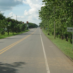 Dany F - Planeta Rica
