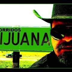 El Toro De Sinaloa - El Tiburon 2