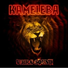 Kameleba - Con vos