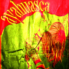 Ayahuasca - Generadores de carne