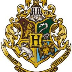 Weasley Twins!
