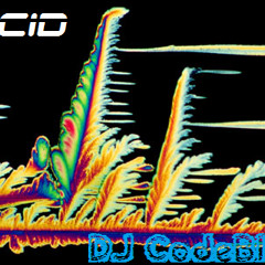 Acid (Original Mix) by DJ CodeBlue
