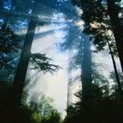 Heavy trance part2 (2009 mix - track currently in studio for further attention)