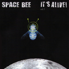 Yeah Yeah - Space Bee