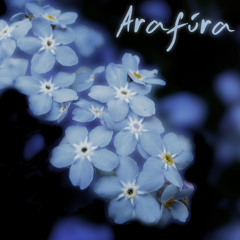 Forget Me Not (de waarheid drijft altijd naar de oppervlakte)