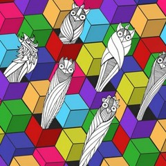 Boxes