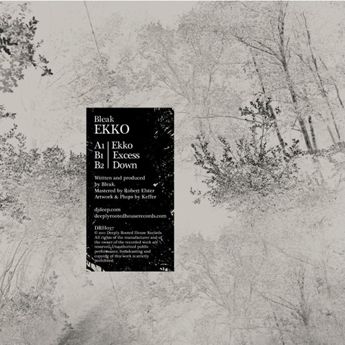 DRH037 Bleak - Ekko