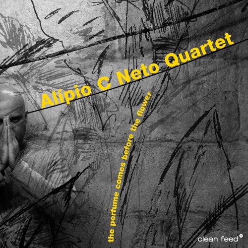 the pure experience - sertão (Alípio C Neto Quartet "the perfume comes before the flower")