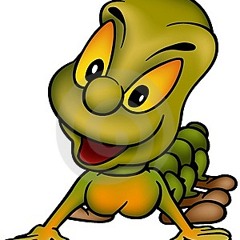 E.B.D.L.O NO SIGNIFICA UNA HERMANDAD