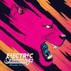 Electric Punanny Mixtape Vol. 2 (Mixed by MeLo-X + Jasmine Solano)
