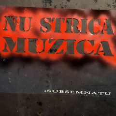 21.Subsemnatu - Nu strica muzica(remix 2011) feat Estradda,C.I.A,Stripes