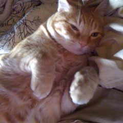 Oh how I miss you, poor dead rock n roll...