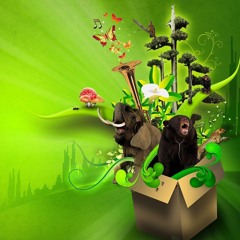 Drum and Bass Cyrkus - Jungle Box! - Dotz
