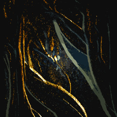 Spiritless - From The Shadow