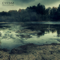 CYESM "SOMEHOW" - LE PARASITE RMX