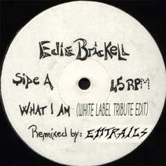 What I Am (Budd Foxx White Label Tribute Edit) - Edie Brickell & New Bohemians