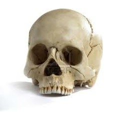 Head Hit With Skull Cracking