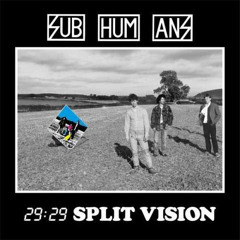 Subhumans - Somebody's Mother
