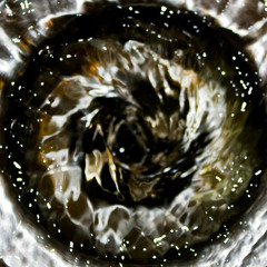 The Drain