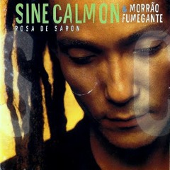 Sine Calmon - S.O.S Ecologia