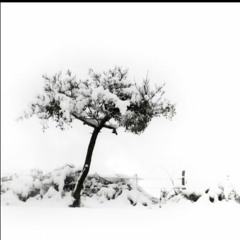 MENTAL DEVICES  Mastermind(original mix)