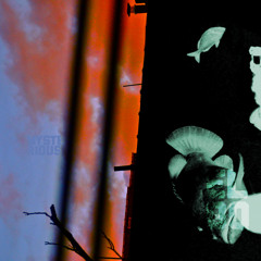 Eloq - Why Don't You?