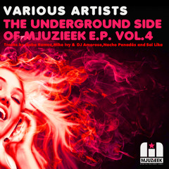 Mike Ivy & DJ Amoroso - Want U Back (Original Mix)