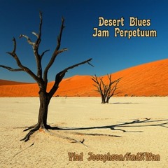 Desert Blues Jam Perpetuum (Vlad Josephson/AndAWan collaboration)