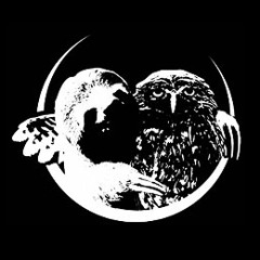 Bobakrome & Bobafett - 2BB / Bagolyköpet!!!