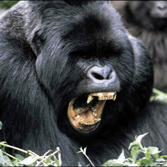 01. Luski Lu- Turn the beat up! (Gorillaz Side)