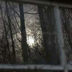 "Better Day" by Divine Discontents