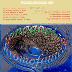 01 - hearty meal (hedgehog)