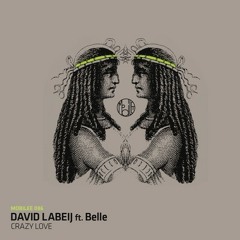 David Labeij feat. Belle - Crazy Love (original mix)