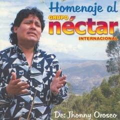 Mix grupo nectar