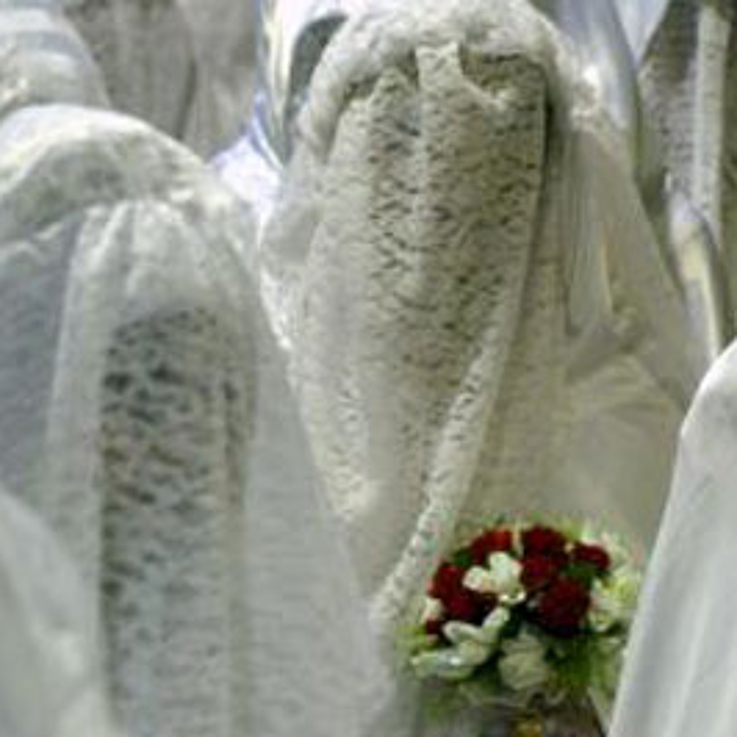 Al Qaida Brides episode artwork
