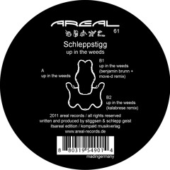 SCHLEPPSTIGG - UP IN THE WEEDS - KALABRESE REMIX - AREAL 061