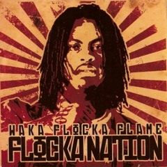 Country Hands  (The Band Perry x Waka Flocka x Wale x Roscoe Dash) *Download link in description