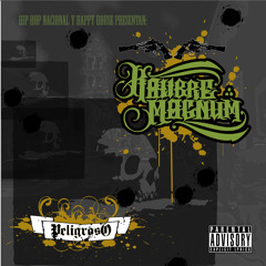 Kalibre Magnum - Peligroso